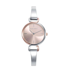 V2H6A71ECE546C0228A12F0587ED16EA0E0R5617271P1