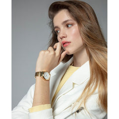 V2H9720E29982E956D91EF7B141A3FA43D2R5664329P4