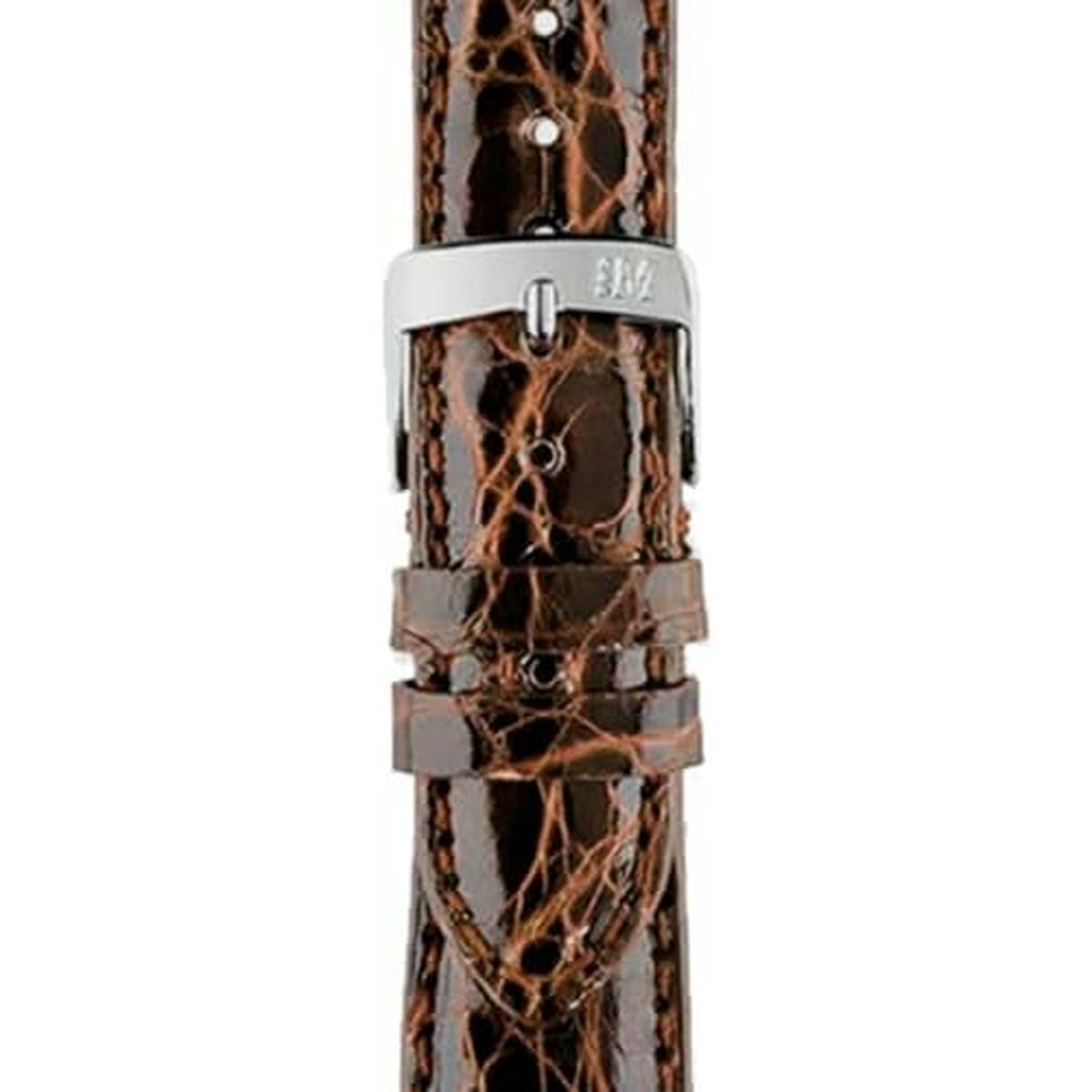 V4H972C82A6172FB772A2159855CAC1CF7CR5431583P2