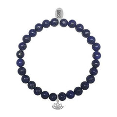 V2H0A6D150A10F14F7CFA62B97C54A469AFR5802511P1