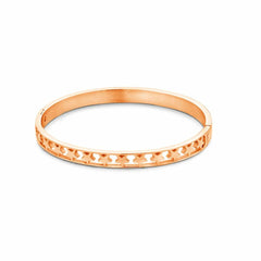 V2H3986E24603AA0E8F7A06C0343A077D39R5751930P2